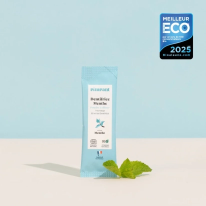 Recharge Dentifrice menthe poudre 8g PIMPANT