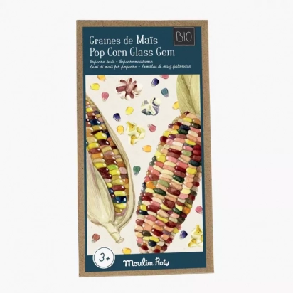 Graines de Maïs pop corn Bio Le jardin du moulin Moulin roty