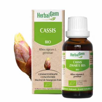 Macerat de Cassis 50 ml HerbalGem