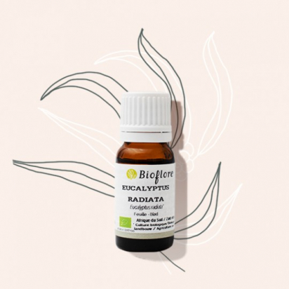 Eucalyptus radié 10 ml ( Eucalyptus radiata ) - Bioflore