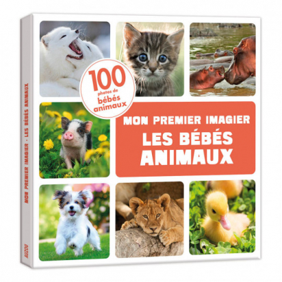 Mon premier imagier les bébés animaux Auzou