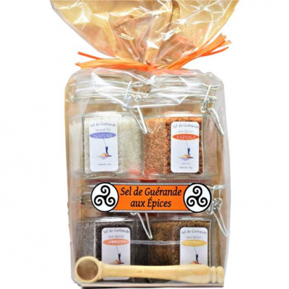 Lot de 4 Mini Bocaux aux Epices 4*75g Artisans du Sel