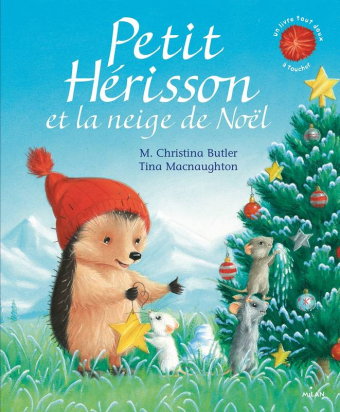 Mon hérisson et la neige de Noël