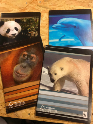 Cahier A4 - Animaux WWF - Quadrillé