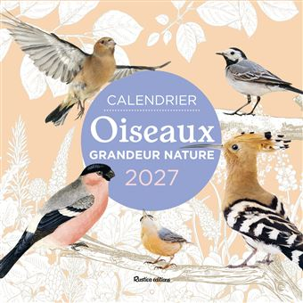 Calendrier des oiseaux 2027 – calendrier mural nature – Rustica