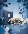 DOUDOU ASTRO Verseau - 12 cm Doudou et compagnie