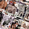 20 cartes Oracle des Animaux Lunaires Les Moonettes