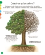 L’imagerie de la forêt – documentaire nature dès 6 ans – Fleurus