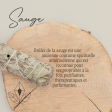 Sauge Blanche de californie 7 CHAKRAS 10cm