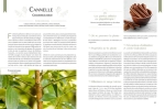 La phytothérapie – Guide encyclopédique des plantes médicinales de Philippe Chavanne