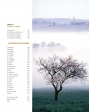 Le traité Rustica des arbres fruitiers - Grand Format Daniel Brochard, Jean-Yves Prat