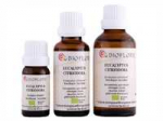 Eucalyptus citronné 10 ml ( Eucalyptus citriodora bio certisys ) - Bioflore