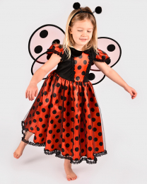 Déguisement Ladybug 2-4 ans Den Goda Fen