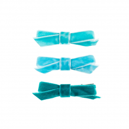 Pinces à cheveux Larisse Souza