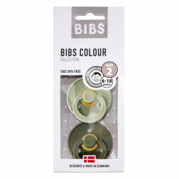 Lot de 2 tétines BIBS T2 Sage/H.green