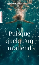 Puisque quelqu'un m'attend  Sandrine Catalan-Massé