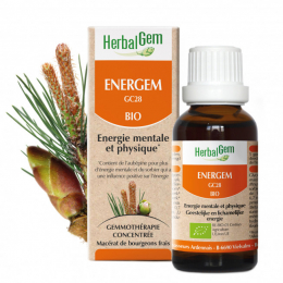 Energem Complexe énergie mentale et physique 50 ml HerbalGem