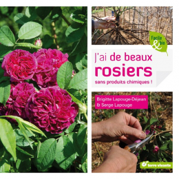 J'ai de beaux rosiers sans produits chimiques -  Terre Vivante