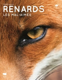 Renards - Les mal-aimés - Grand Format Pierre Rigaux Delachaux
