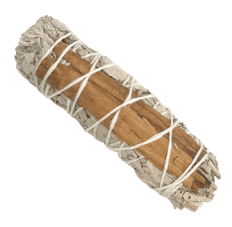 Sauge Blanche de californie cannelle 10cm