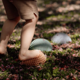 Parcours Pierres sensorielles Hippo