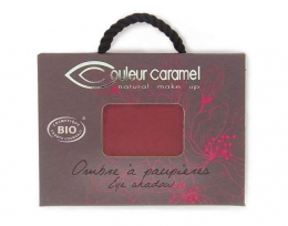 Ombre à Paupières n°137 - Bois de Rose Mystérieux - Suivez-Moi - Couleur Caramel