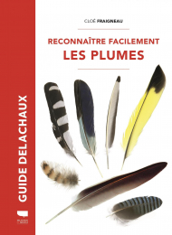 Reconnaître facilement les plumes Cloé Fraigneau Delachaux