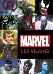 Marvel : les Vilains Par :  Scott Beatty