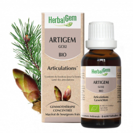 Artigem Complexe articulations 50 ml HerbalGem