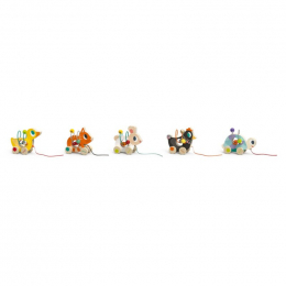 Mini Looping à promener en bois Janod