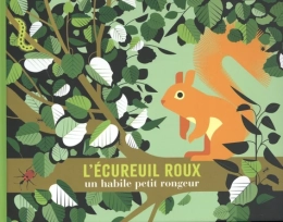 L’écureuil roux – documentaire nature enfant – Amaterra