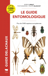 Guide entomologique Patrice Leraut Delachaux