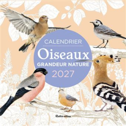 Calendrier des oiseaux 2027 – calendrier mural nature – Rustica