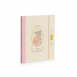 Livre de naissance La petite école de danse Moulin roty